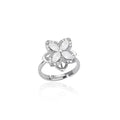 Sun & Star Fidget Ring – Stainless Steel